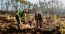 Fiskars setzt Baumspende-Aktion mit Plant-My-Tree fort