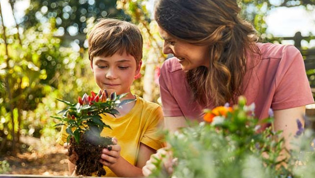 Das Unternehmen arbeitet daran, den Anteil nachwachsender, regionaler Rohstoffe in seinen Blumenerden zu erhöhen.