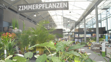 Blumen und Zierpflanzen erstmals über 10 Milliarden Euro