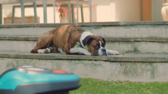 Auch Gardena geht wieder ins Fernsehen