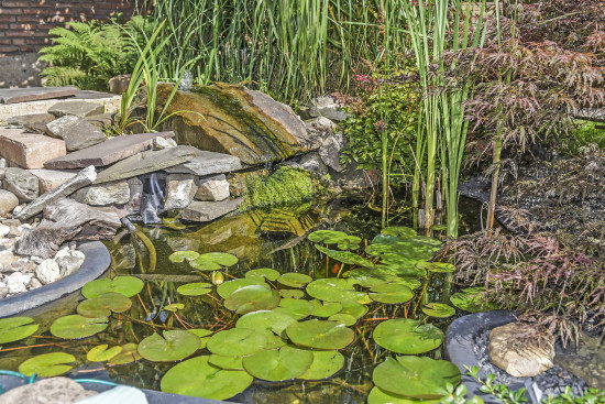 Offene Wasserflächen kühlen über Verdunstung die Umgebung ab. Zudem bieten sie eine Wasserquelle für Vögel und Insekten.