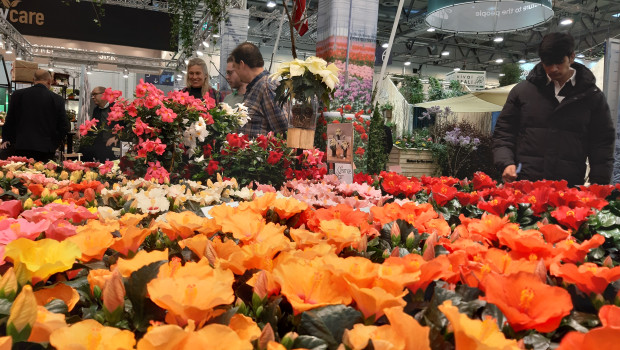 Mehr Besucher, mehr Aussteller: Die Messe Essen zieht eine positive Bilanz der IPM 2025.