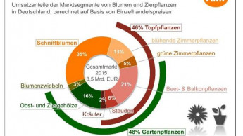 Discounter und Convenience im Trend