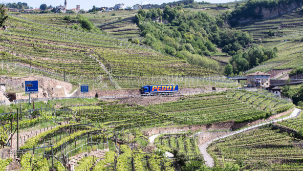 Das Braker Logistikunternehmen nutzt die Übernahme des italienischen Traditionsunternehmens Autotrasporti Pedot S.R.L., um neben dem Terminaltrucking auch inneritalienische Straßentransporte anzubieten.