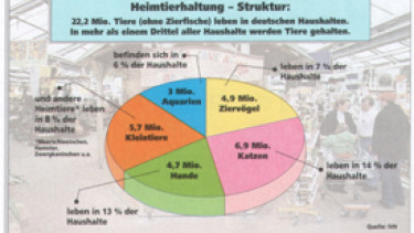 Heimtiermarkt 2001: Leichtes Plus trotz ungünstiger Rahmenbedingungen