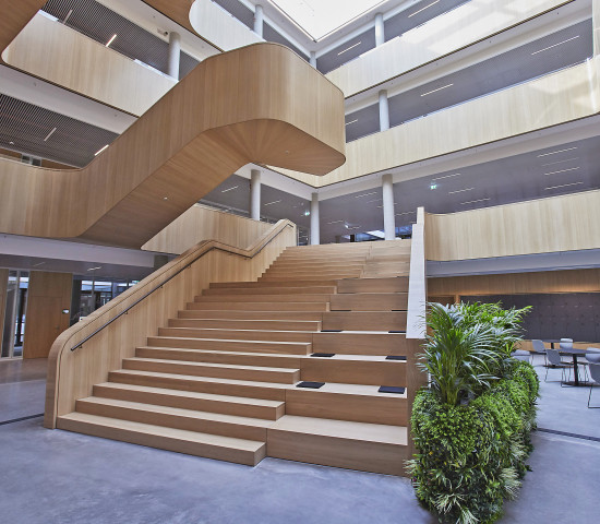 Die Freitreppe über das komplette Atrium hinweg ist eines der architektonischen Highlights in Haus 2 des Bauhaus-Campus.