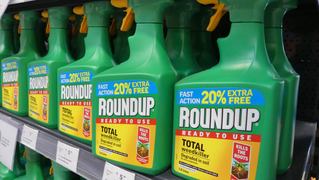 Hobbygärtner werden künftig keine glyphosathaltigen Pflanzenschutzmittel wie Roundup mehr anwenden dürfen.