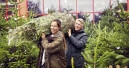 Mehrheit kauft Weihnachtsbaum im stationären Handel